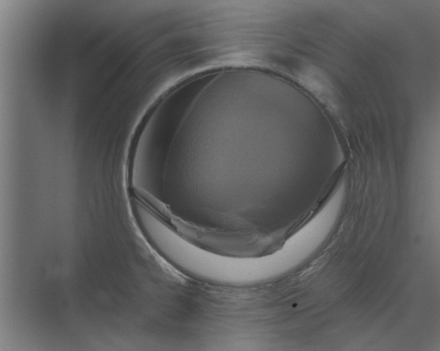 X0000073921334200608251539