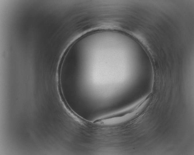 X0000073921335200608251539