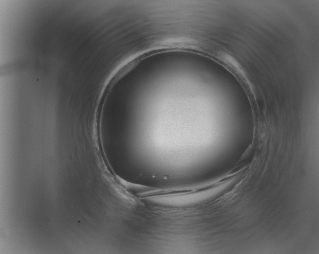 X0000073921336200608251539