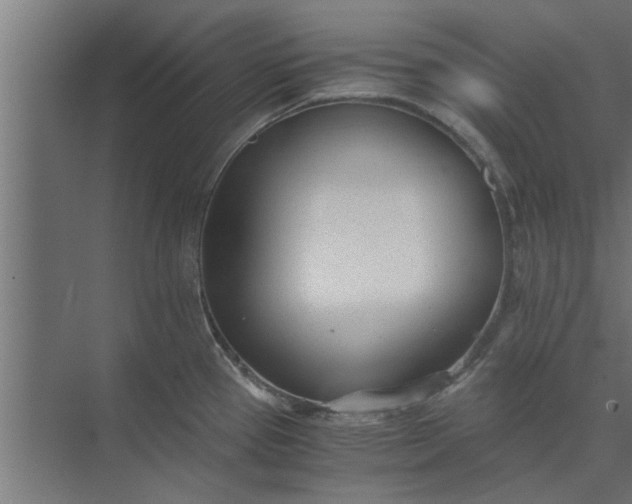 X0000073921337200608251539