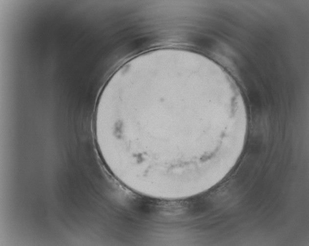 X0000073921338200608251539