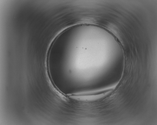 X0000073921339200608251539