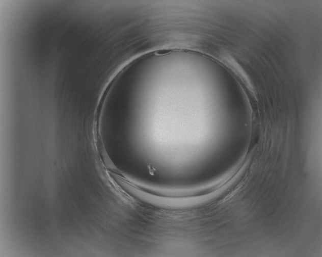 X0000073921340200608251539