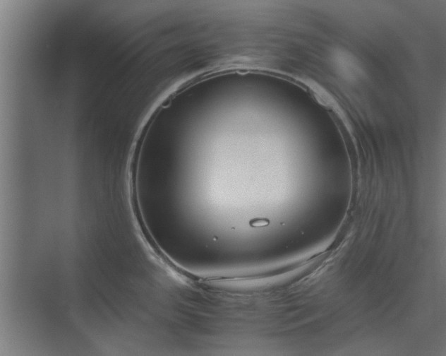 X0000073921341200608251539