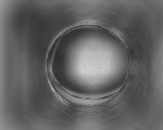 X0000073921342200608251539