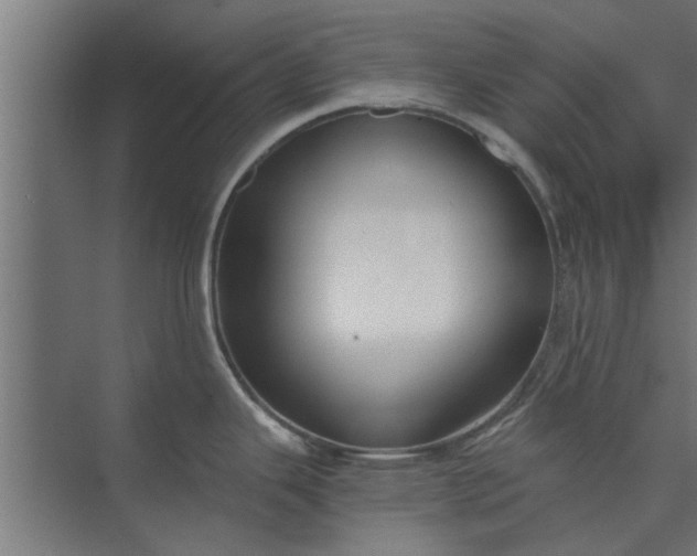 X0000073921343200608251539