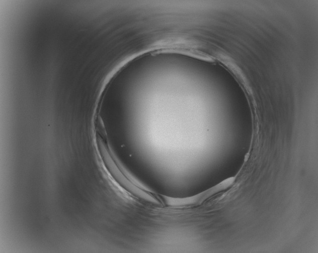 X0000073921344200608251539