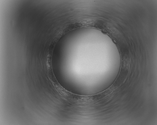 X0000073921346200608251539