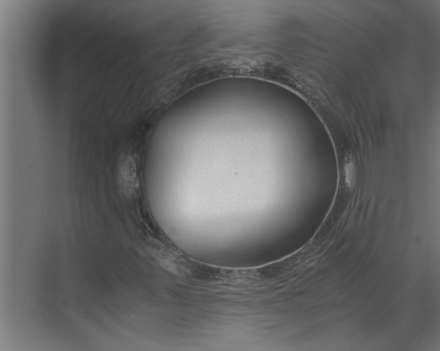 X0000073921347200608251539