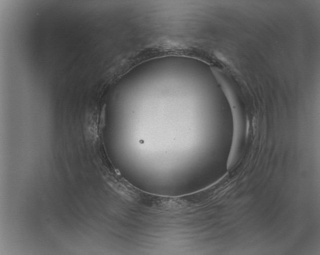 X0000073921348200608251539