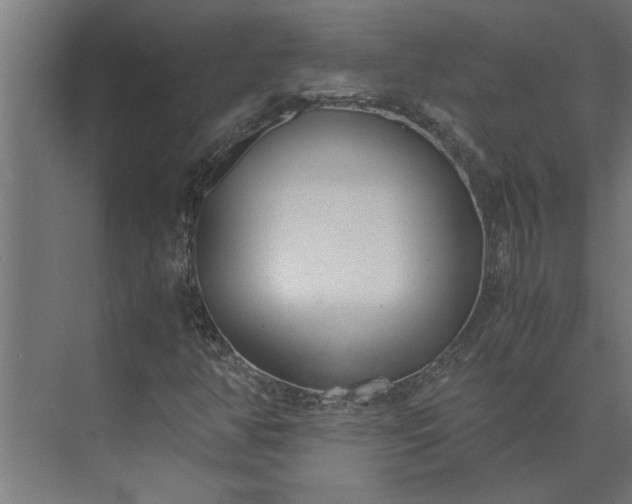 X0000073921350200608251539