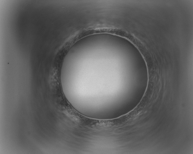 X0000073921351200608251539