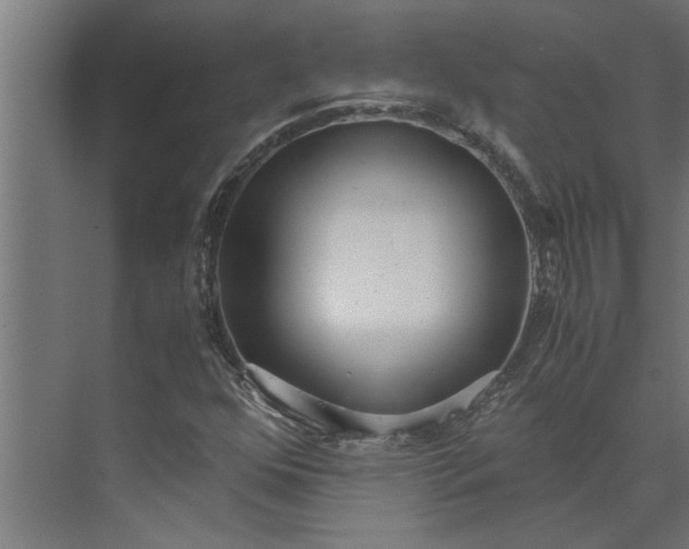 X0000073921352200608251538