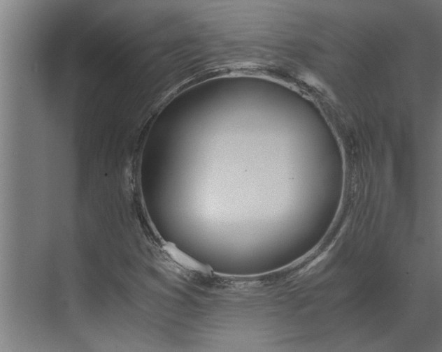 X0000073921353200608251538