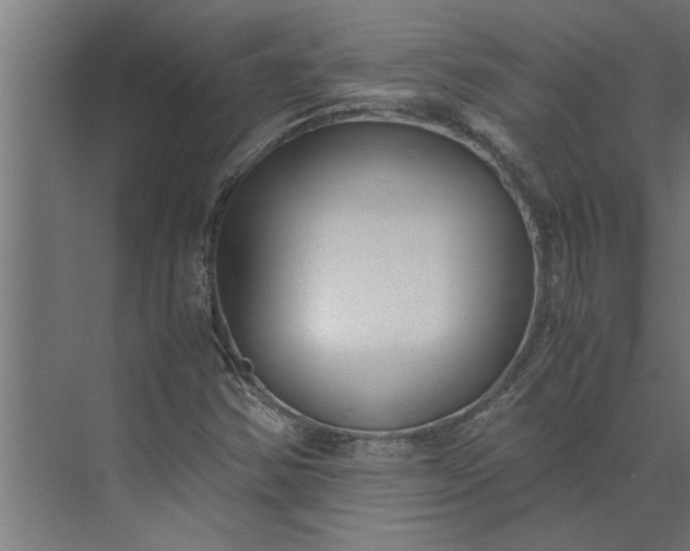 X0000073921354200608251538