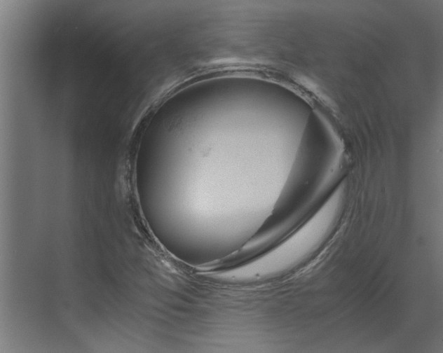 X0000073921357200608251538