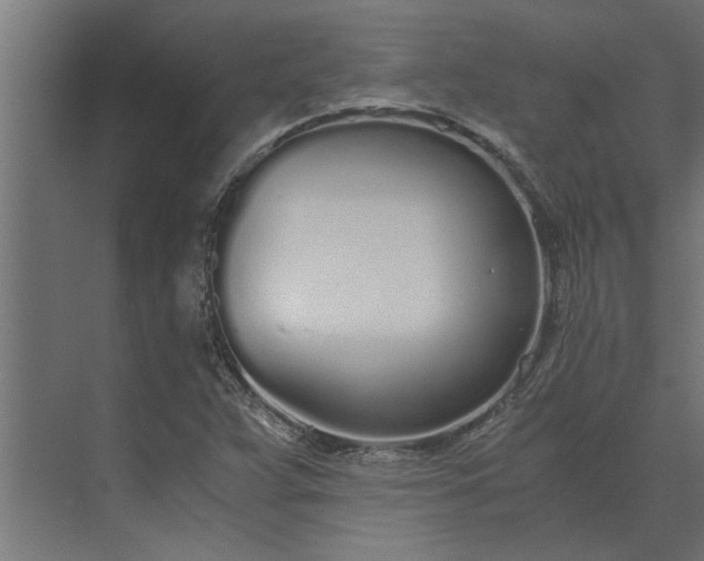 X0000073921359200608251538