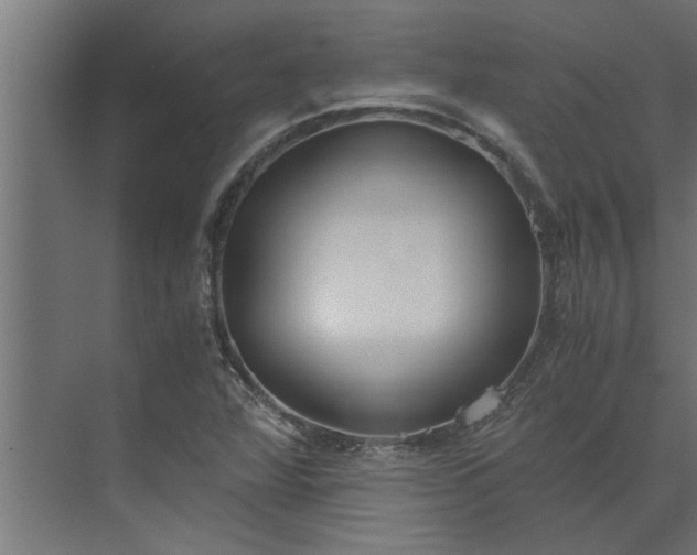 X0000073921360200608251538