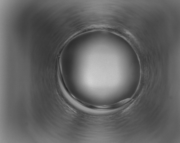 X0000073921361200608251538