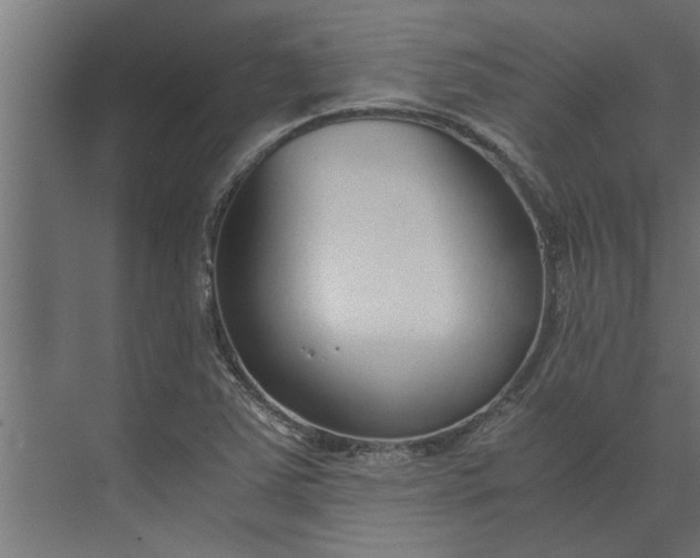 X0000073921363200608251538