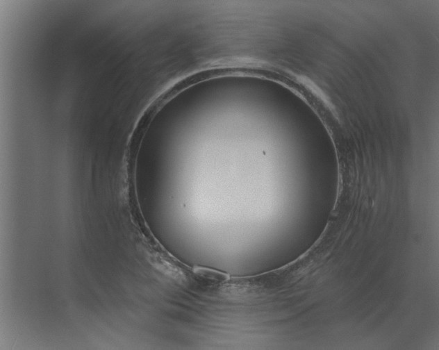 X0000073921364200608251538