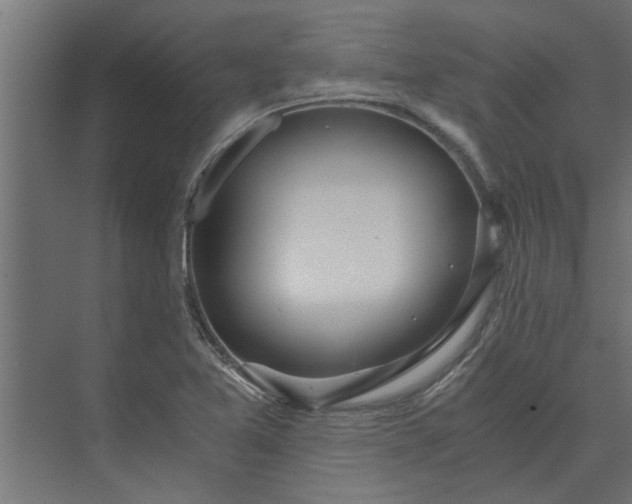 X0000073921365200608251538