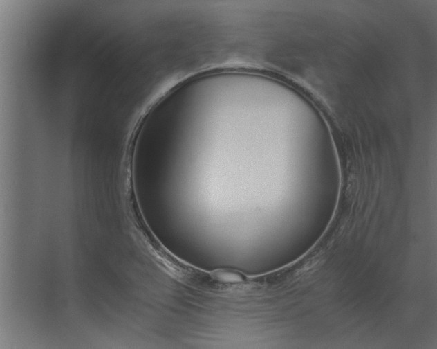 X0000073921367200608251538