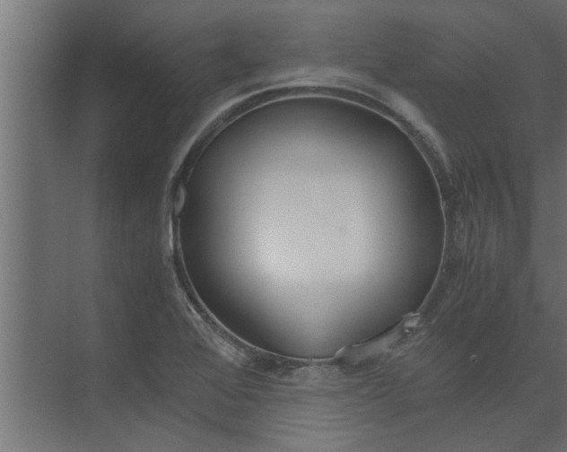 X0000073921368200608251538