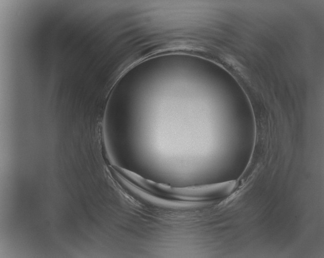 X0000073921369200608251538