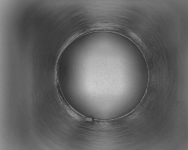 X0000073921370200608251538