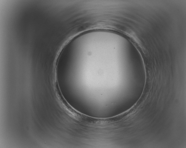 X0000073921371200608251538