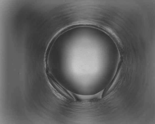 X0000073921372200608251538