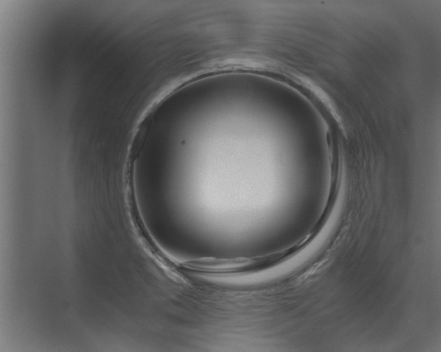 X0000073921373200608251538