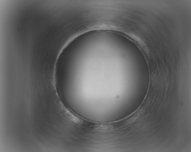 X0000073921374200608251538