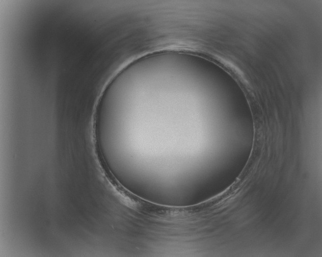 X0000073921375200608251538