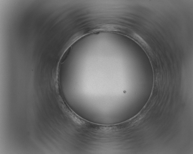 X0000073921378200608251538