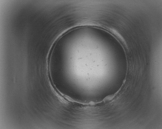 X0000073921380200608251538