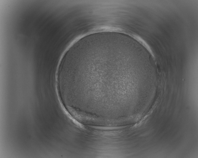 X0000073921381200608251538