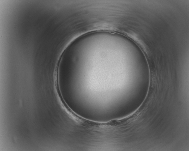 X0000073921383200608251538