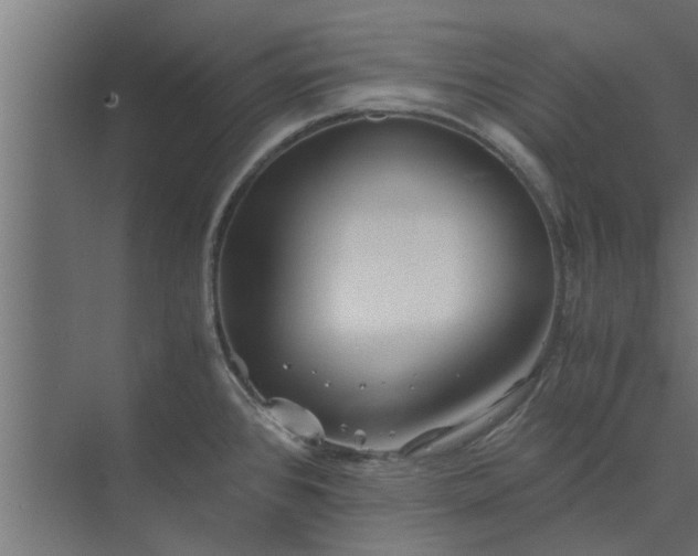 X0000073921384200608251538