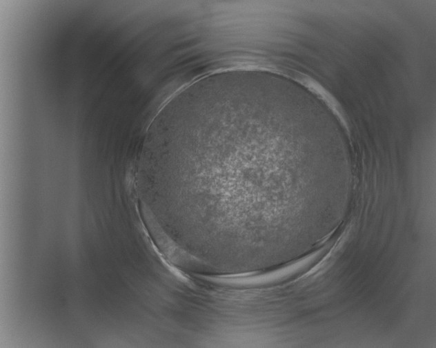 X0000073921385200608251538