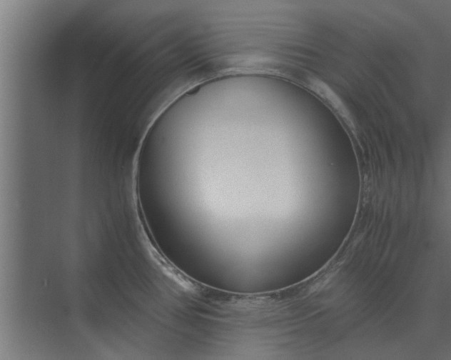 X0000073921386200608251538