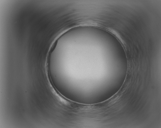 X0000073921387200608251538