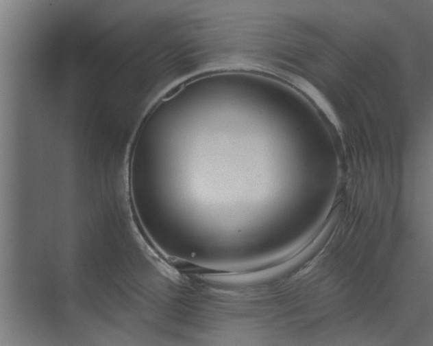 X0000073921388200608251538