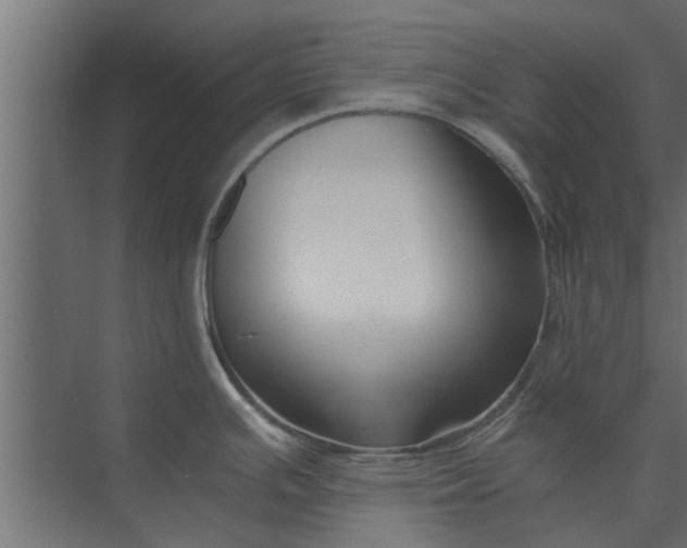 X0000073921391200608251538