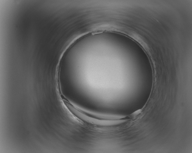 X0000073921392200608251538