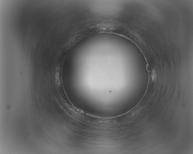 X0000073921396200608251537