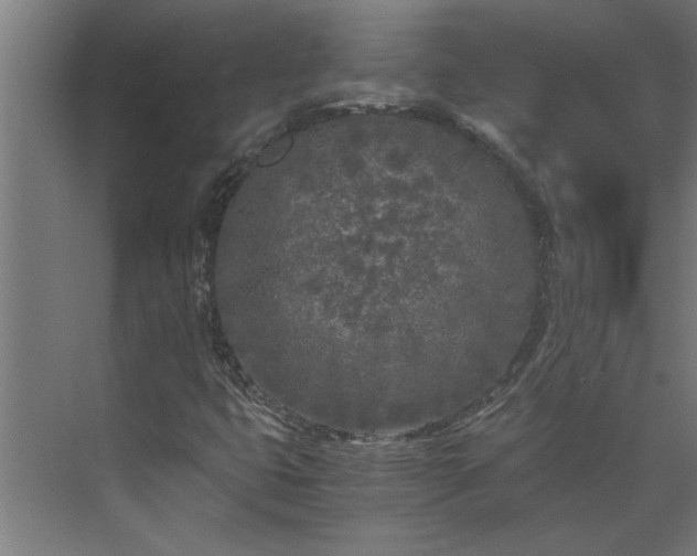 X0000073921399200608251537