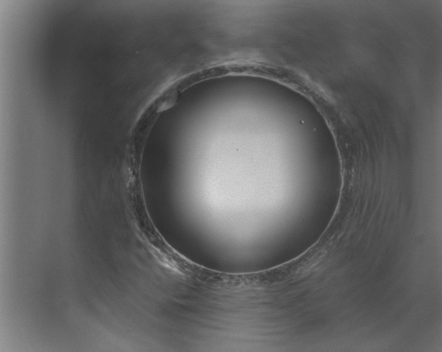 X0000073921400200608251537