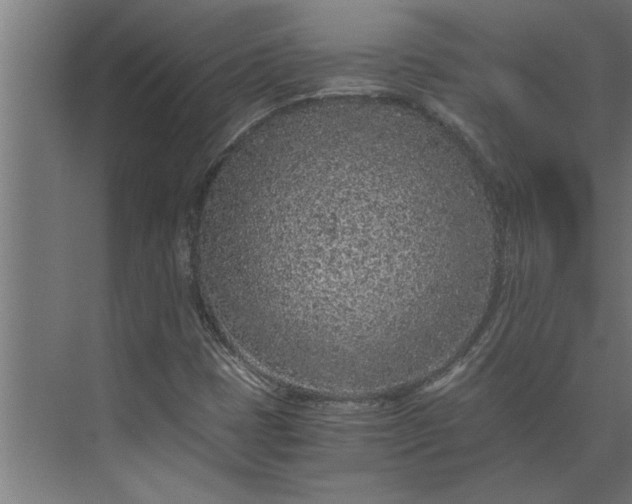 X0000073921401200608251537